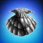 Sandy Clam Analysis and Tooling
