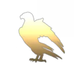 Cogee Ltd.