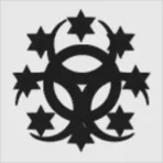 Black Security Services