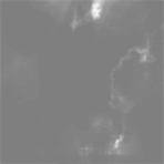 Belvar Corporation