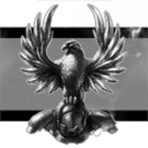 United Nations Space Command Defense Force