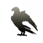 The Silent Laser