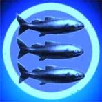 First Fishing Corporation of New Eden