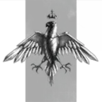 A.I.M