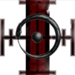 Intrepidus XI