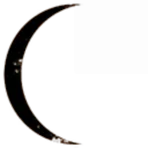 Shadow Commerce And Trade