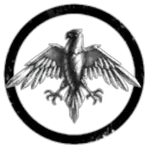 Black Eagle Enterprises