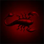 Scolopendra.