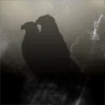 Howl at the Moon