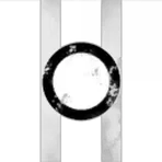 Inner Ring Extraction
