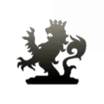 Singularity Loop