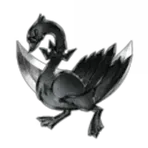 Wayward Chickens