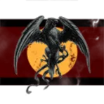 Icarus Inc