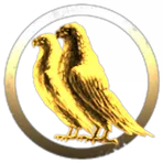 Black Raven Valkyries