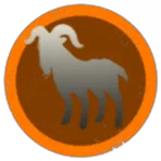 Blaze Orange Expeditions