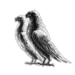 AN IRRATIONAL FEAR OF PIDGEONS