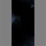 The Shadow of Darkness