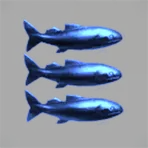 Ill Tempered Sea Trout
