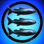 amarr fishery society