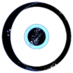 Anima Fluctus
