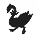 Black Swan Corp