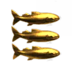Shiny Shiny Golden Fishy Fish