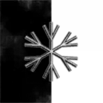 Snowflakes of Destruction