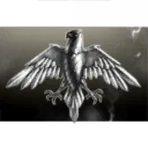 Raven Guards