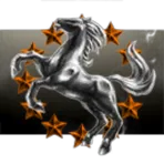 Domain Hauling and Mining Services