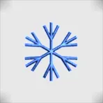 Caldari Winter Team