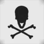 Black Skulls Corp