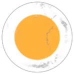 Fresh Eggs