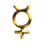 Post Gender Cyborgs