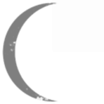Lovilogic