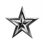 white star industrial corp