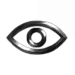 The Evaders Mining .Co
