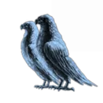 The Ulpians