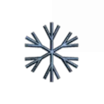 Special Snowflake Society