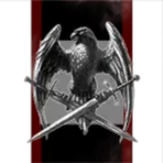 Shinra Inc. Planetary services