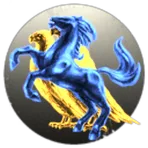 Degarius Holding Inc.