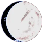 Savage Moon Society