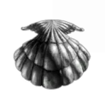 pluha corp
