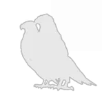 Night Owls Legion