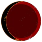 SpaceTomatos