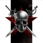 detached 10th paratroopers battalion