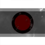 Martian Congressional Republic Navy