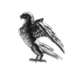 Accipitridae trading