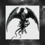 Nigrum Umbra