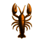Wormholle Makers