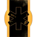 Symvane Inc.